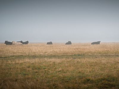 Firmenausflug_Flims_2025 (1).jpg