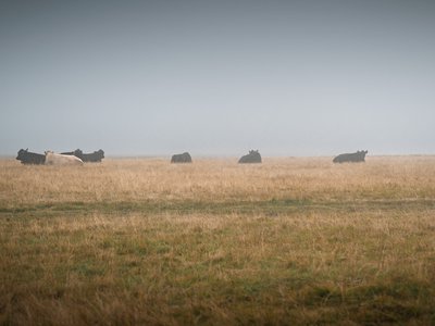 Firmenausflug_Flims_2025 (1).jpg